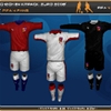 UEFA EURO 2008 - Czech Republic Kit Pack Screenshot 1&nbsp;:&nbsp;Screenshot 1