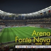 Arena Fonte Nova