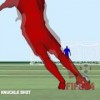 FIFA 14 | New Gameplay Animations